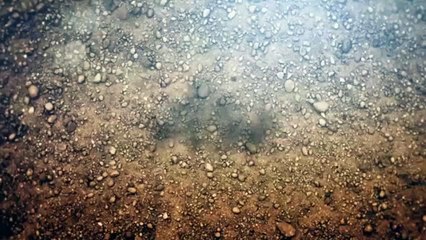 Five Nights at Freddy's 3 Song (Die in a Fire) Minecraft Animation