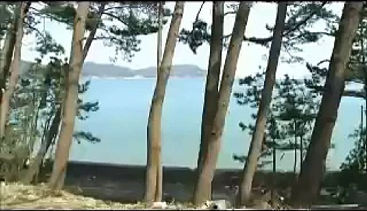 【東日本大震災】津波から逃げる人たちが飲みこまれる【2011 japan TSUNAMI】