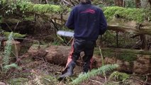 24 Salvaging Old Fell & Bucked Cedar Logs - Natural Building Methods Workshop