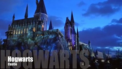 Harry Potter and his friends