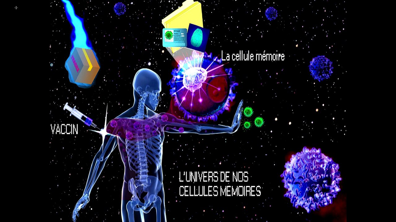 Assia Asrir - MT180, finale nationale 2015