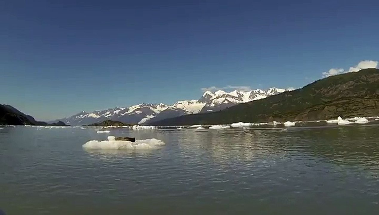 Ne dérangez pas ce phoque qui bronze svp !