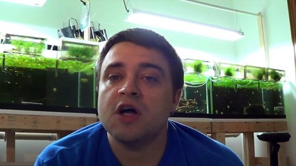 #199: Gregjonesonline #DIYDouble 2,000 Subscriber Contest
