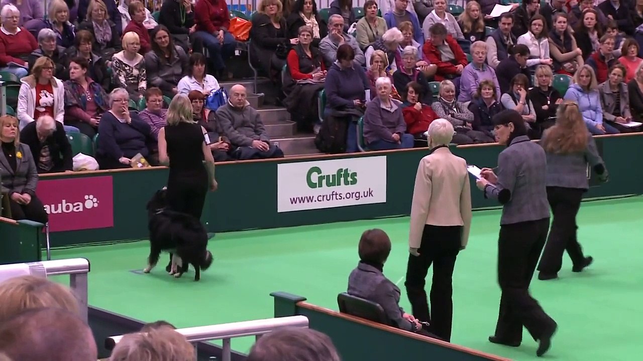 Obedience Dog Championships - Day 3 - Crufts 2013 (Geraldine Steadman & Nobite Defense of the Realm)