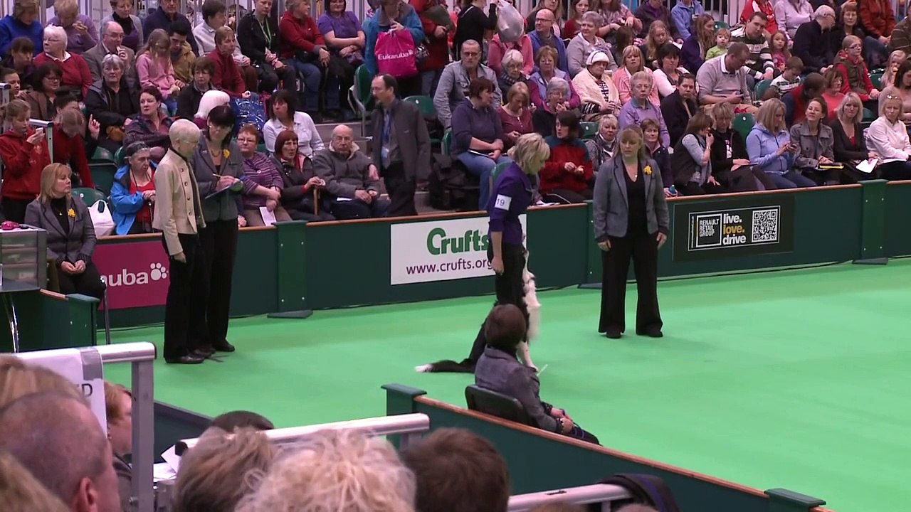 Obedience Dog Championships - Day 3 - Crufts 2013 (Janet Matthews & Croftmist Rivers of Krismoss)