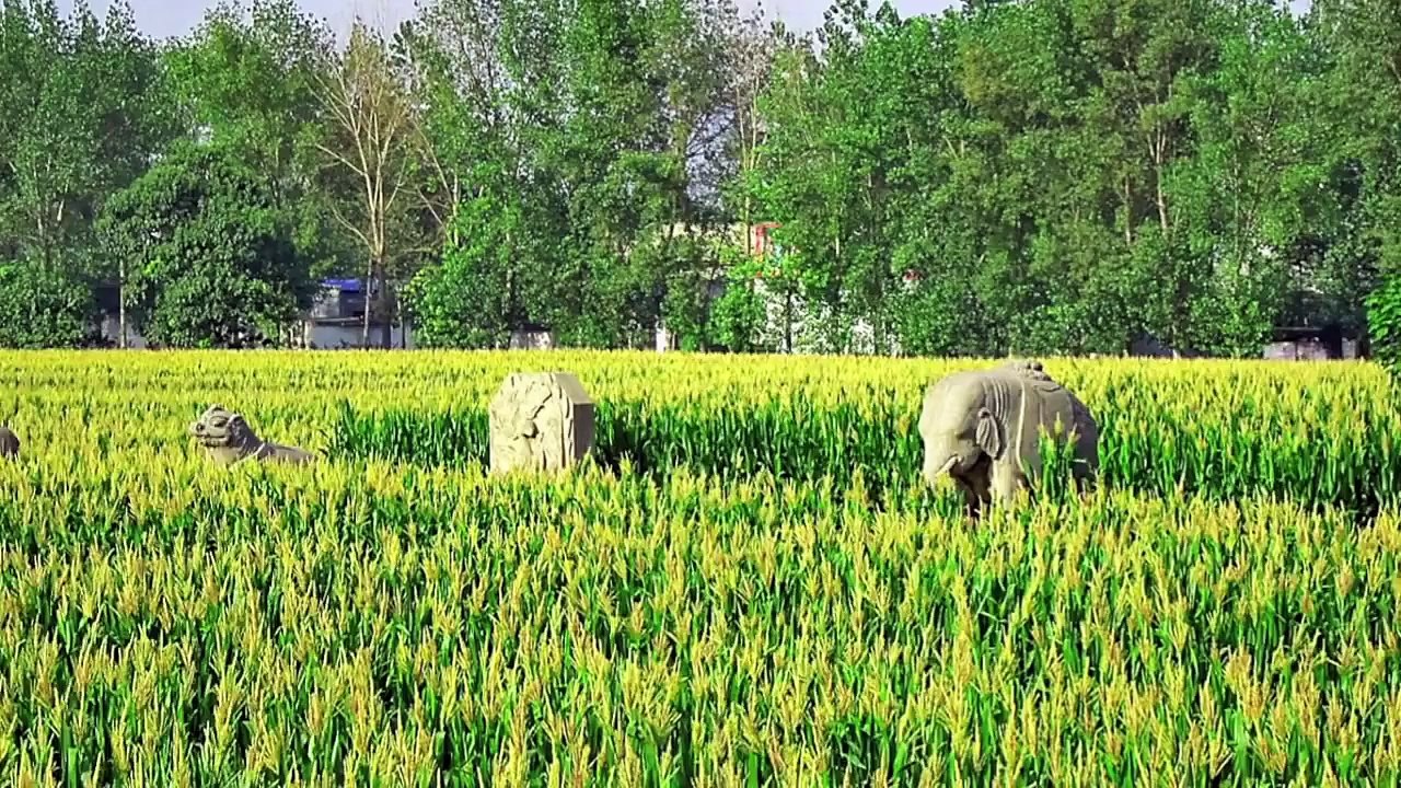 荒漠皇陵  宋太祖趙匡胤的永昌陵