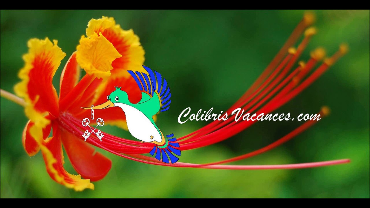 colibris-vacances-Gîte-Brantôme-542