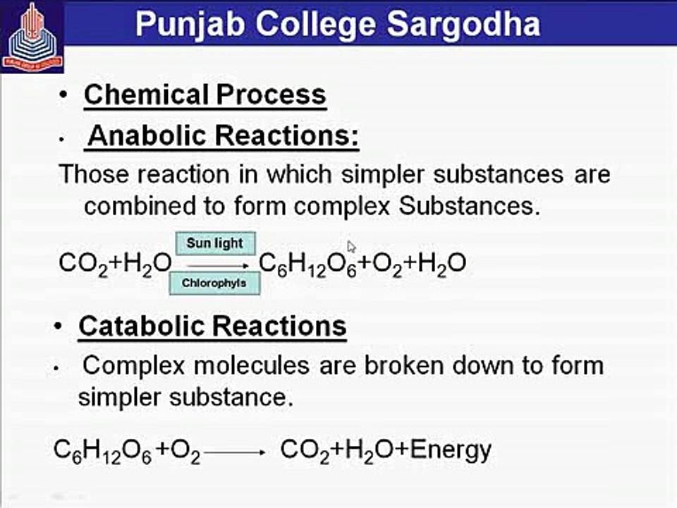 Biology Ch2 P1 B