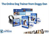 shock collars for dogs - How to Execute Dog Clicker Training