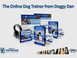 dog training collars - What You Need to Know About a Dog Training Pad