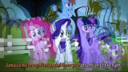 Stop the Bats: Literal Video Version