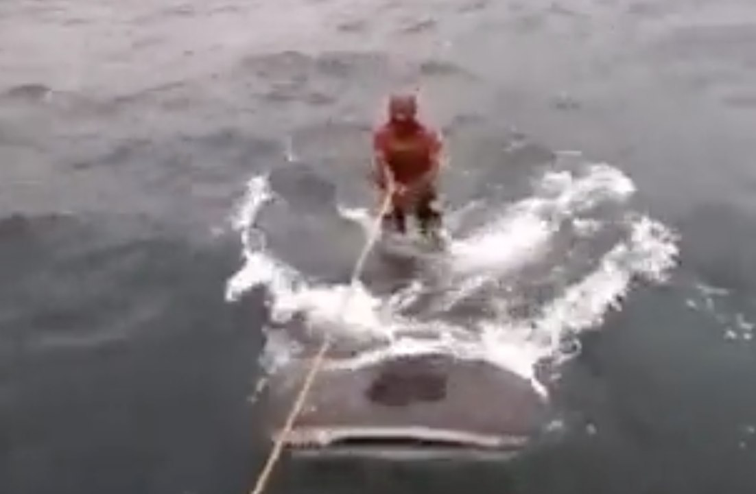Two mens are riding a whale shark !!