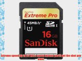 SanDisk SDSDXP1-016G-A75 16GB Extreme Pro SDHC Memory Card