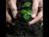 Biofertilizers Manufacturers and Suppliers