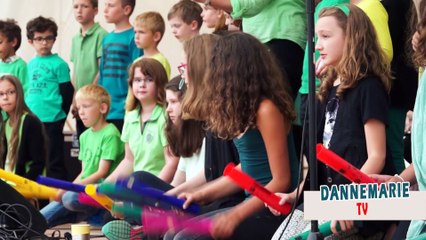 Dannemarie fête les musiques !