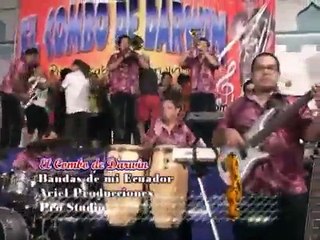 EL COMBO DE DARWIN VOL. 3 - MOSAICO SAN JUANITO ( video oficial )