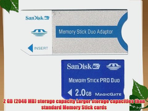 SanDisk 2GB Memory Stick Pro Duo Memory Card w/Adapter