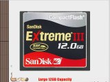 SanDisk SDCFX3-12888-901 12 GB Extreme III CompactFlash Card (Retail Package)