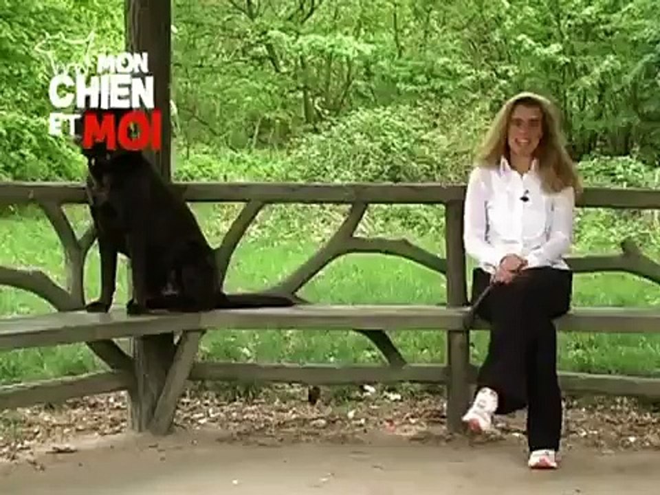 Entre chiens et nous : Comment rendre son chien plus docile?