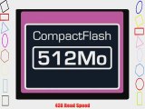 Dane Elec 512 MB Compact Flash Card