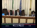 Roma - Audizione Sottosegretario Castiglione (24.06.15)