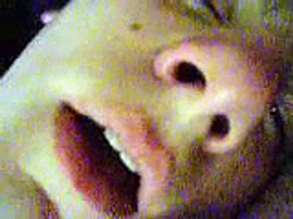 Nic Snoring