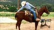 4yr Old AQHA Ranch Gelding For Sale 