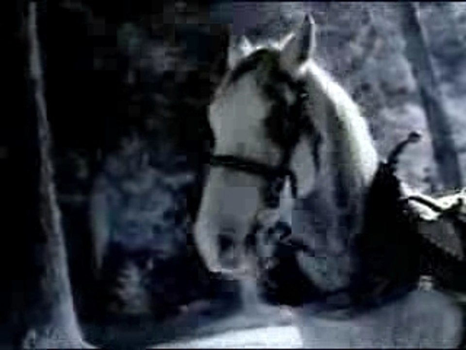 Bud horse
