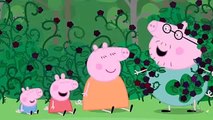 Peppa Pig   s04e48   The Fish Pond clip9