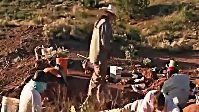 ARCTIC DINOSAURS - NOVA - Discovery/Animals/Nature (documentary)