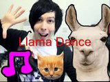 AmazingPhil and Danisnotonfire Phan video