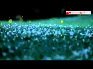 TG 24.06.15 Lucciole tour, ad agosto nei boschi di Martina Franca