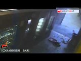 TG 19.03.15 Bomba carta in negozio a Bari, denunciati tre minorenni