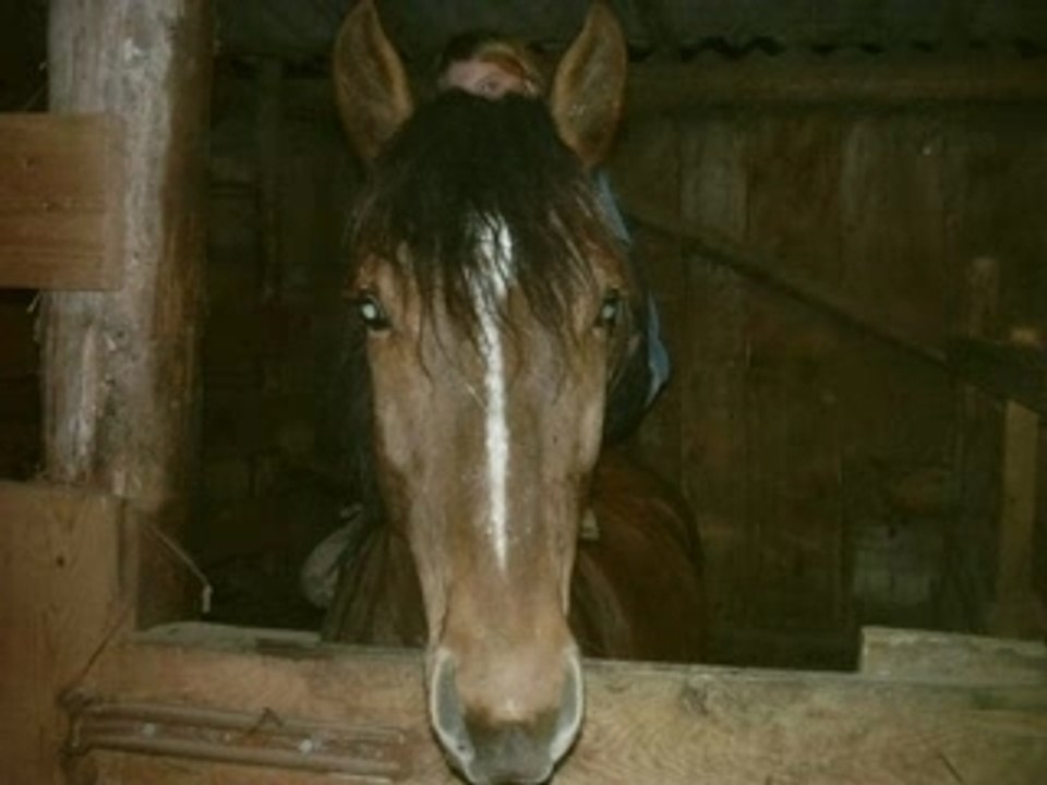 Tous mes dadou pref montage