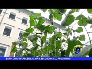 BARI | Orto in carcere, al via il secondo ciclo produttivo