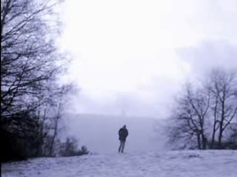 Clip-The Cranberries-No Need to argue