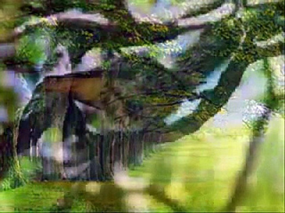 Pataki Attila - A vén cigány