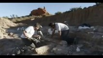 VIDEO: Biggest Dinosaur Ever Discovered, World's Biggest Dinosaur Unearthed In Argentina Desert