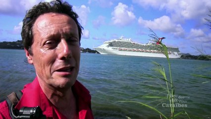 J'IRAI DORMIR CHEZ VOUS aux Caraïbes - Extrait