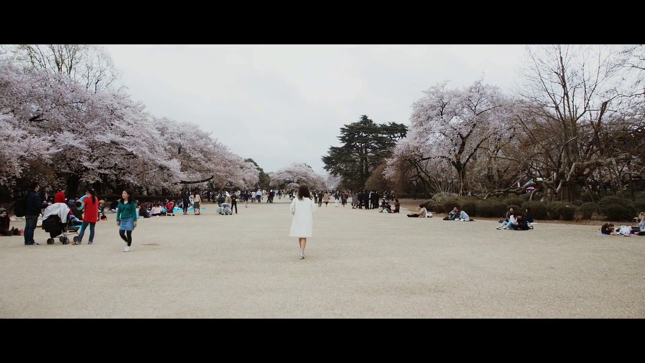 Memories of Tokyo