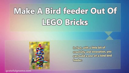 Creative DIY Bird Feeder Ideas
