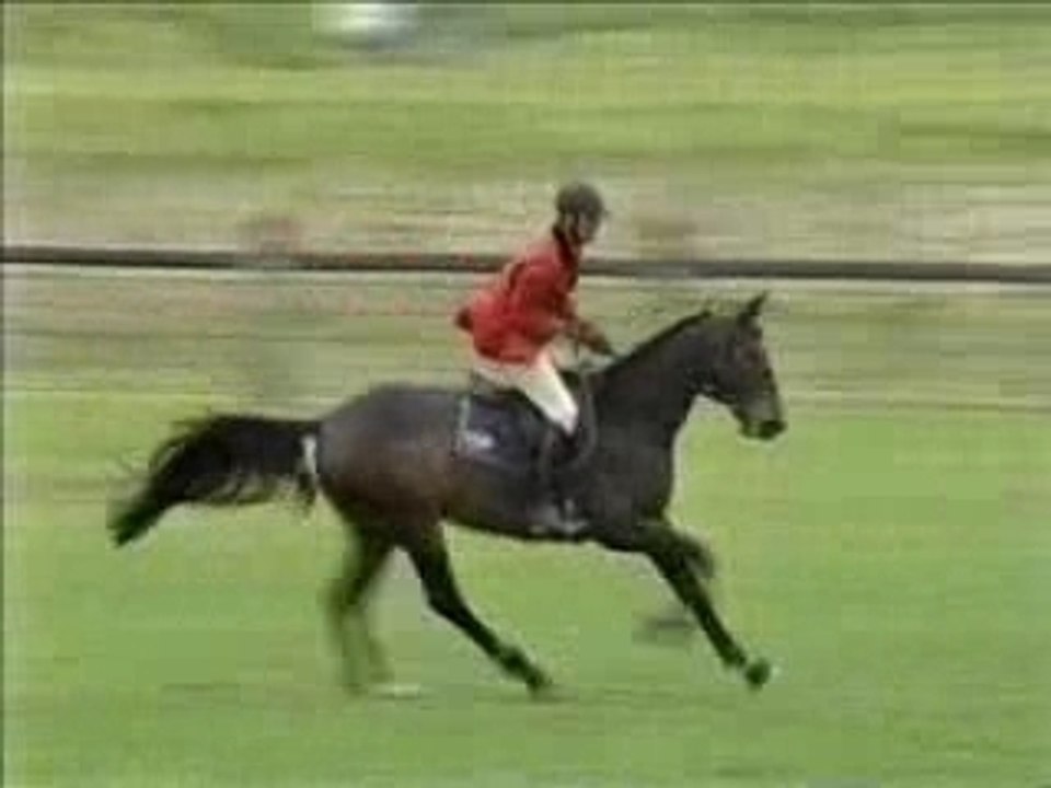 Aiglon rouge