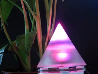 FLORANIUM - Visualizing the mood of green plants and how plants react to reiki energy and auras