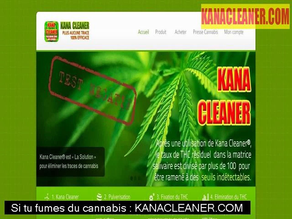 Cannabis medical : certains chercheurs doutent