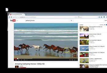 Funny Horse Videos 2015 | Top Funny Horses Video Full | Funny Horse Compilation