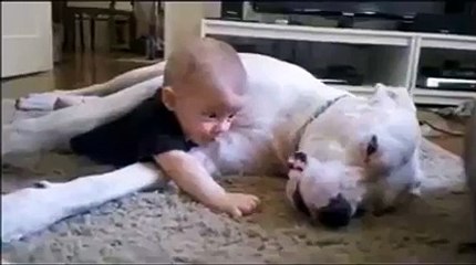 Dogs are baby's best friends, aren't they