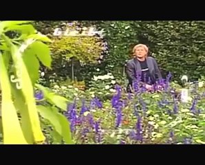 Bernhard Brink - Lieder an die Liebe (Canzone)