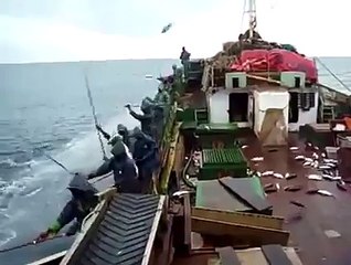 amazing fishing so cool.