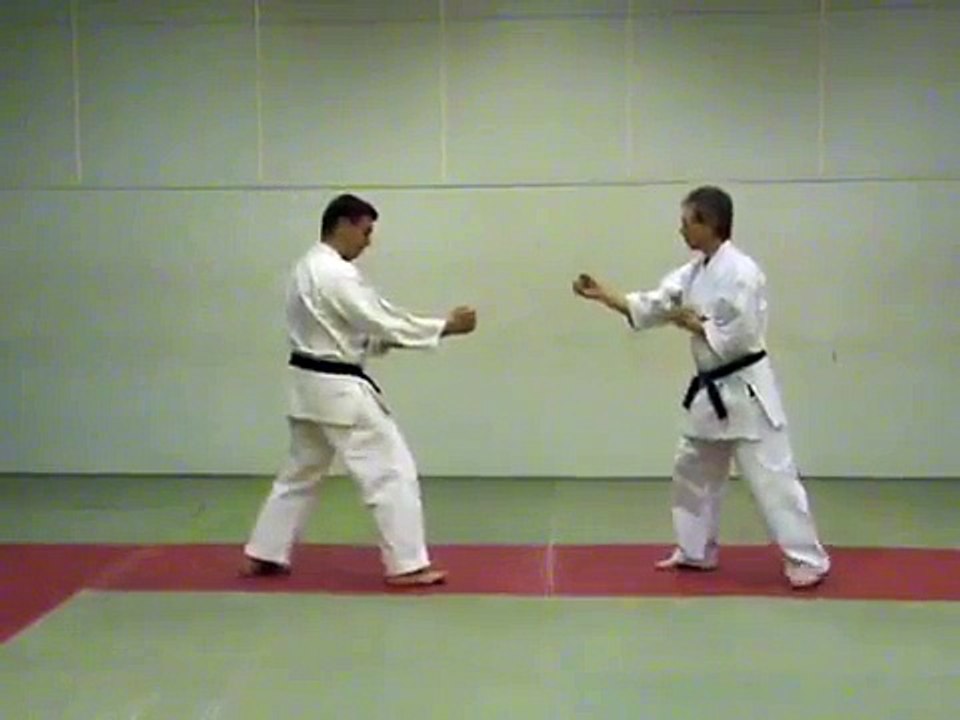 The 36 Kumite Gatas of Wado-Ryu