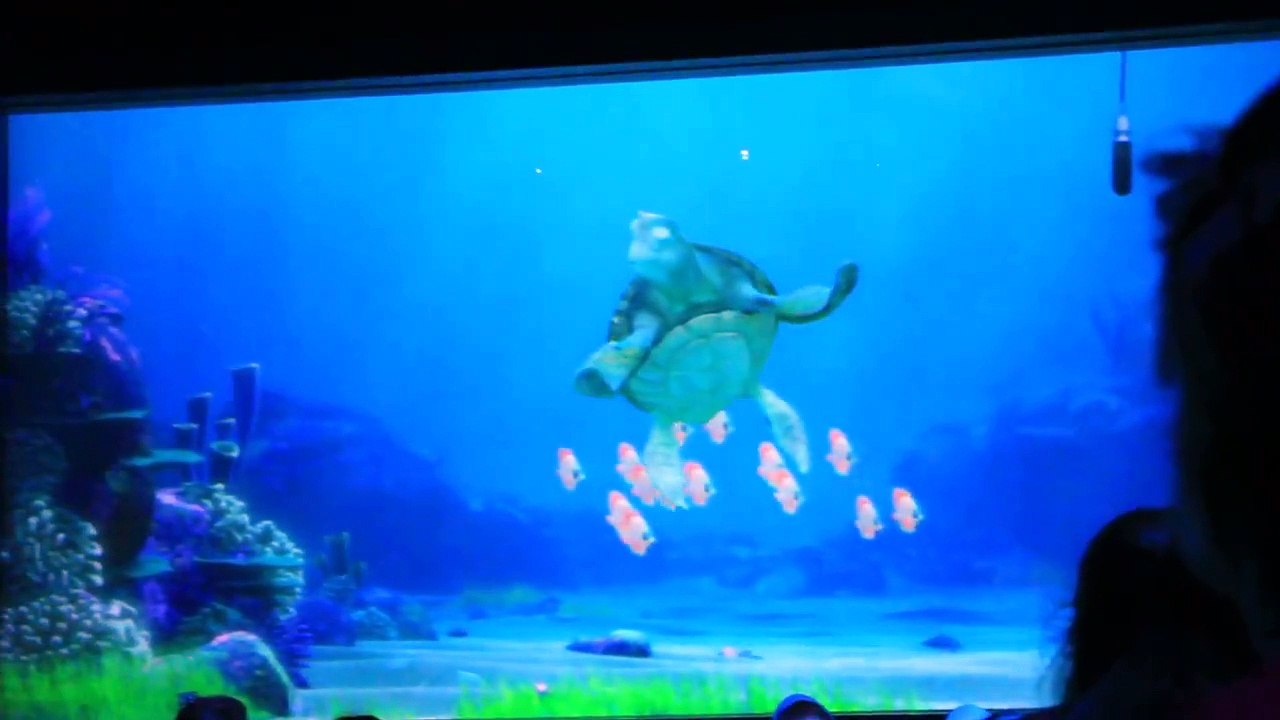 Turtle Talk with Crush